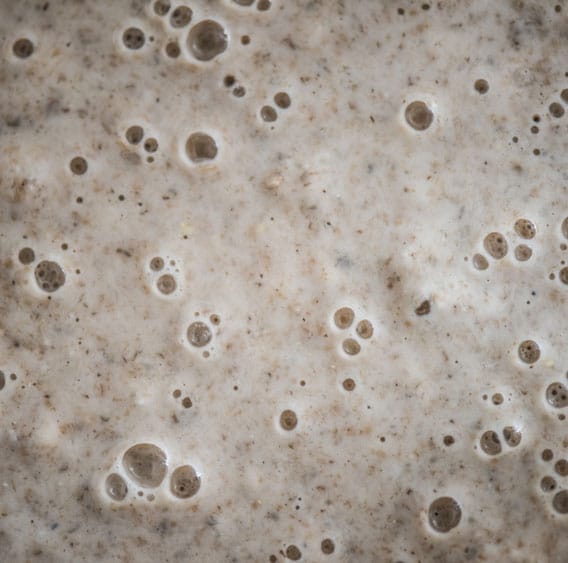 blackburn-foam blackburn-foam